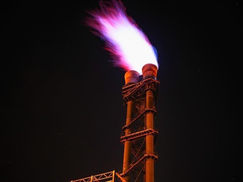 Фото: pixabay.com