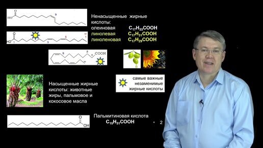 Дубынин В.А. - 100 часов школьной биологии - 2.3. Липиды; аминокислоты