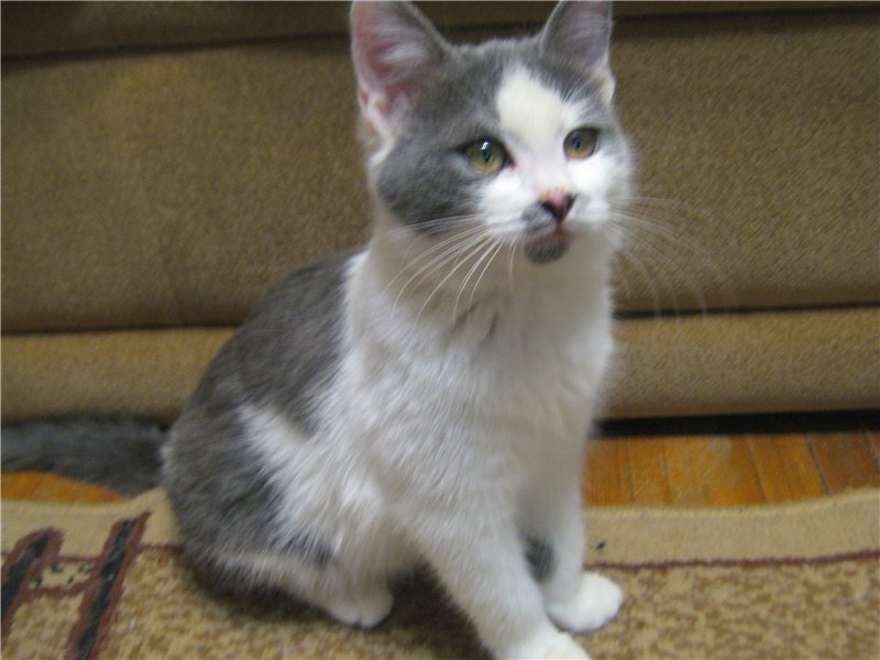 На передержке