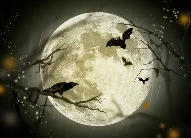 Гадать лучше в подходящие для этого дни Фото: пиксабей