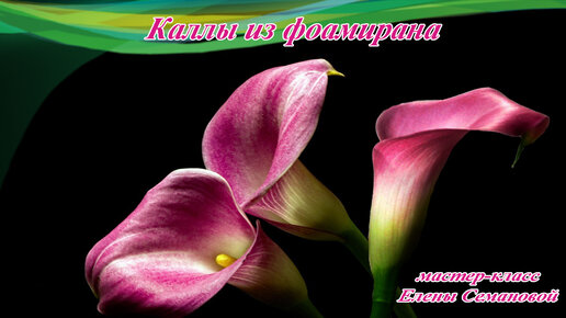 Каллы из фоамирана своими руками