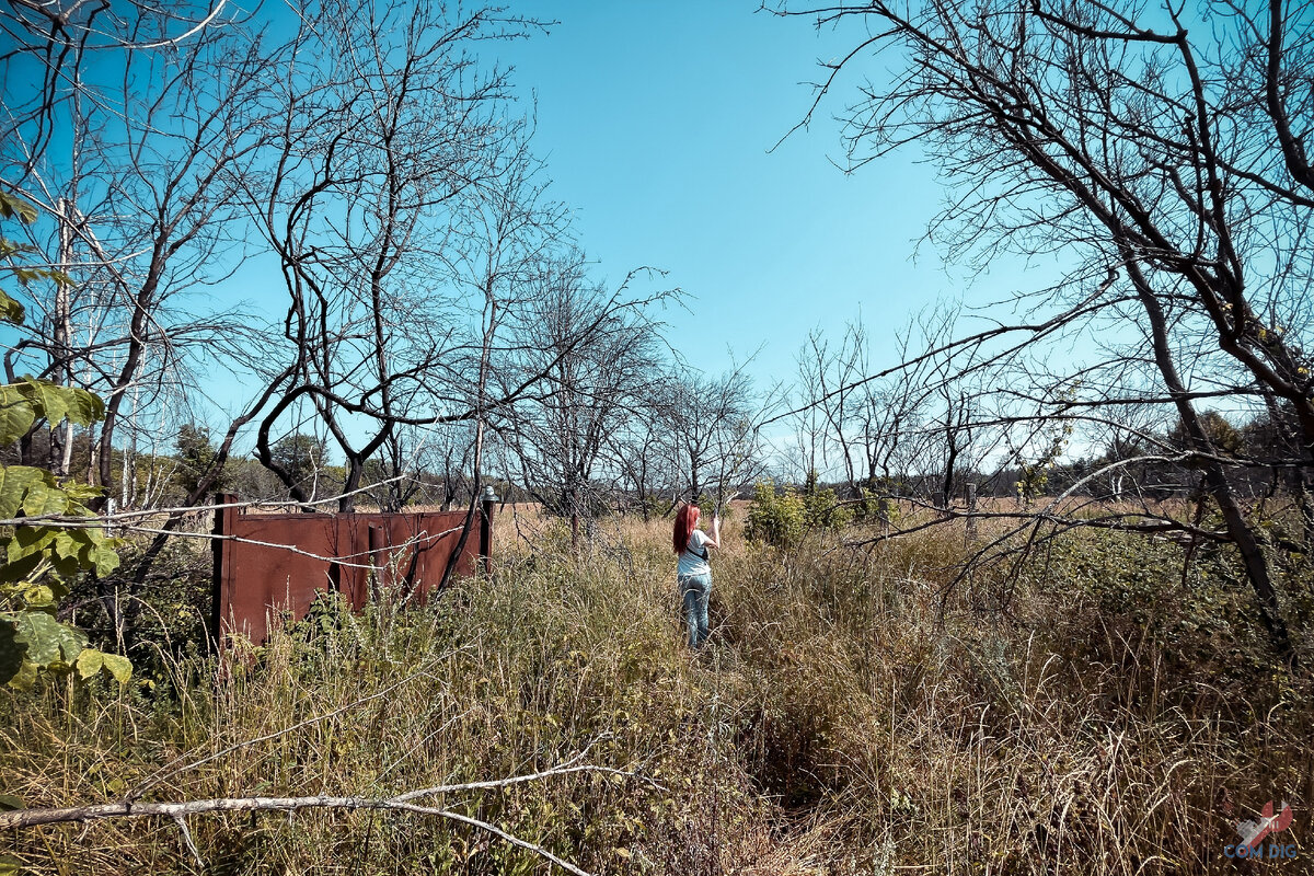 Уничтоженное пожаром село Кривая гора. 