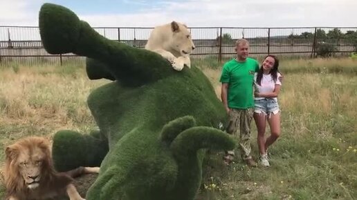 Веселая фотосессия у статуи быка. Огромные львы притягивают внимание публики