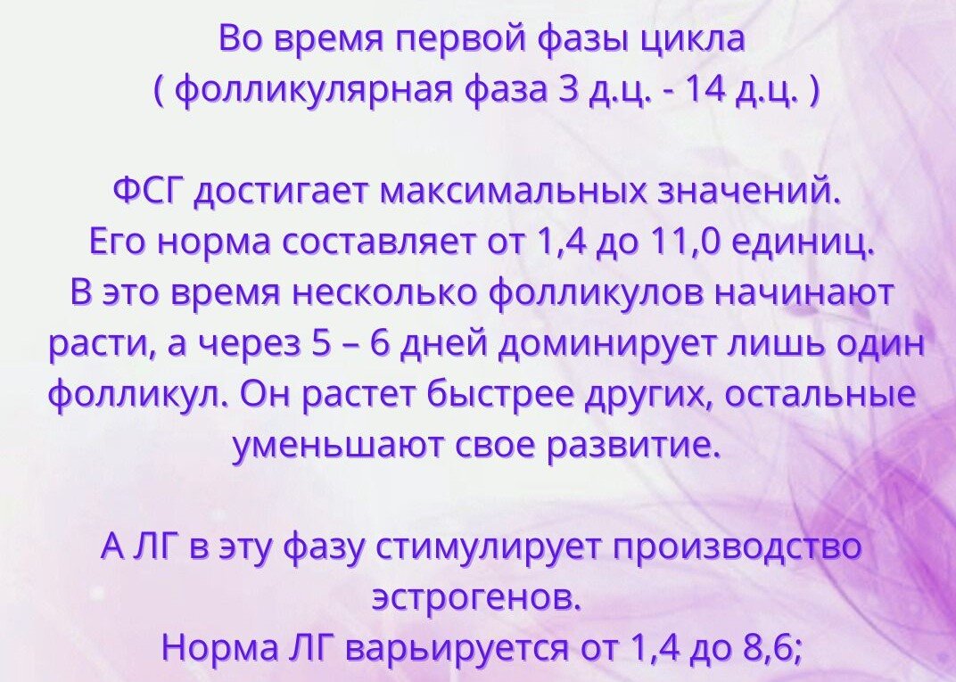 1 фаза цикла