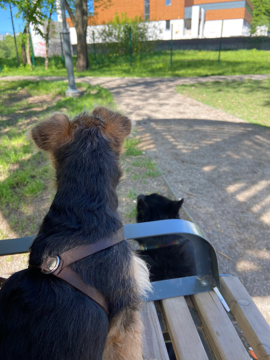 Отличный шанс осмотреться, успокоиться и понять что к чему