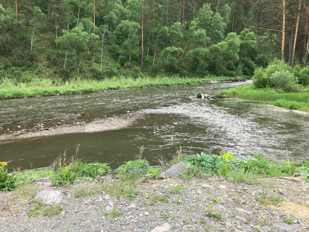 Так здорово, что река совсем рядом!
С утра она так бодрит 💪 