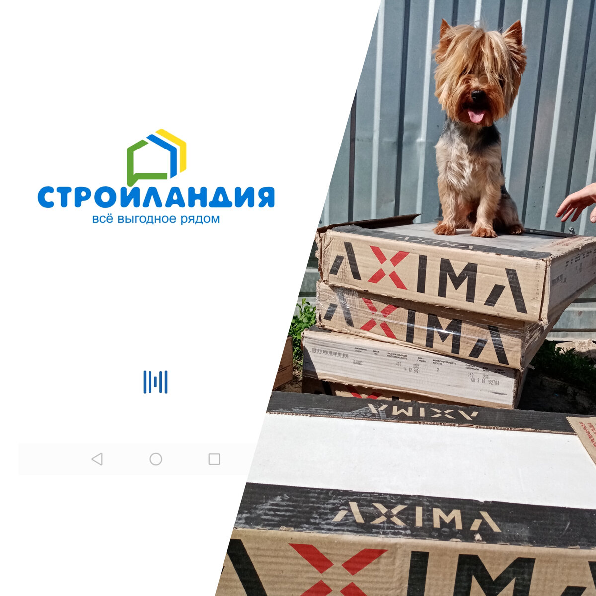 Я уверен, серый цвет плитки подобран под меня! 😂