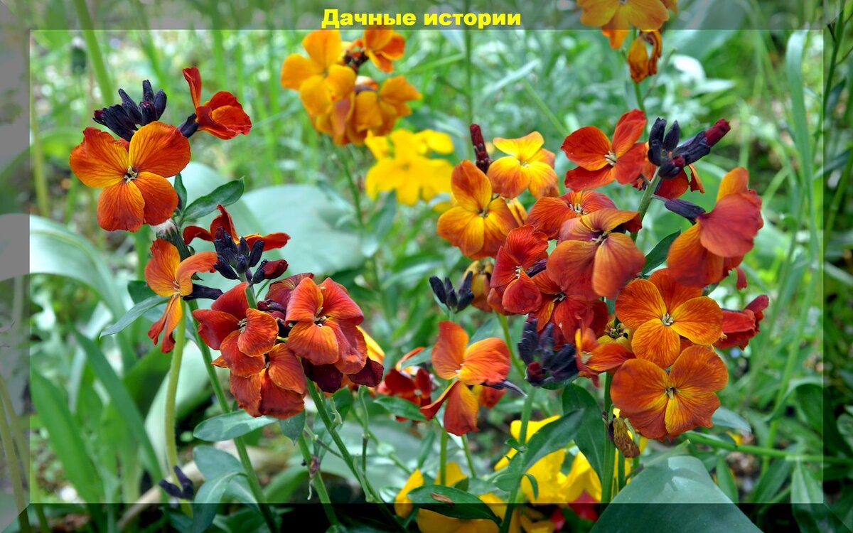 https://vk.com/photo-159774511_457253845