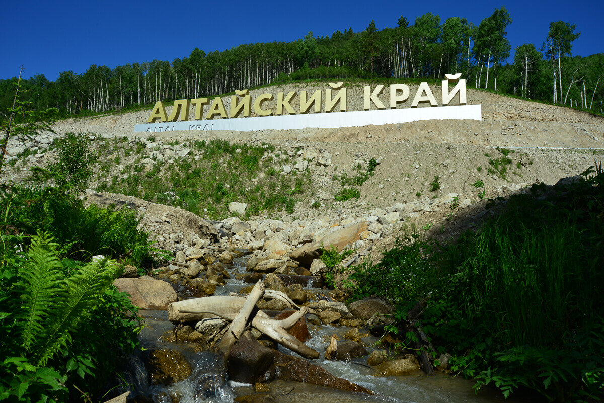 Стелла алтайский край