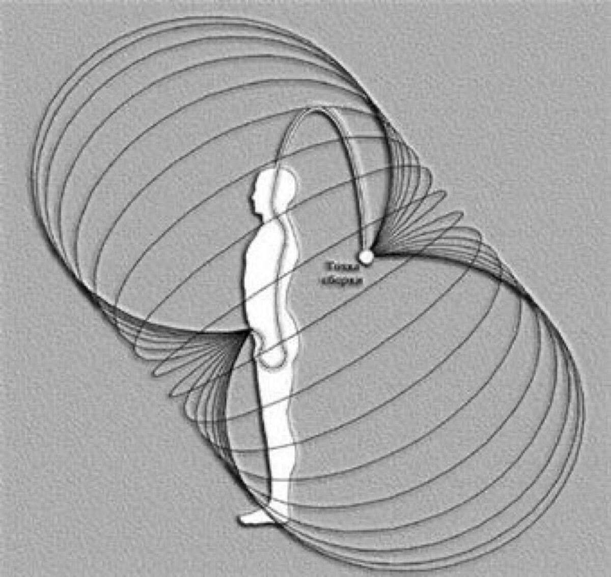 Картинка из Интернета 