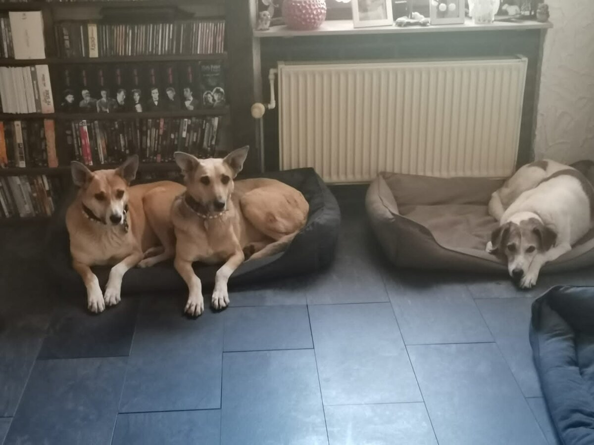 Рут и Ранья (бывшая Леро) - рассказывали про них вот тут: https://zen.yandex.ru/media/id/5f986c3105593f00884357b1/zita-i-gita-ili-istoriia-rut-i-lero-nyn-rania-626fa30bab96ff603c3f6561 