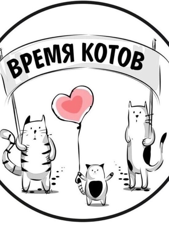     Фото из группы котокафе "Время котов" в соцсети "ВКонтакте".