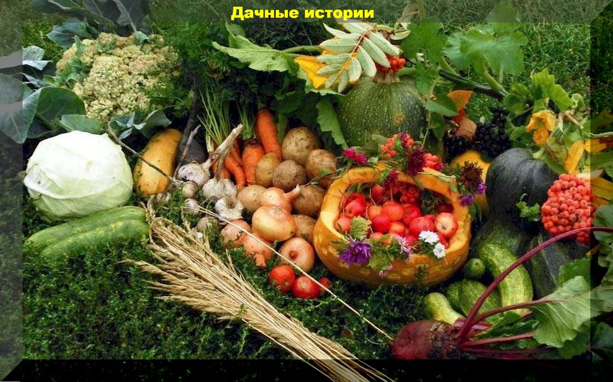 https://vk.com/photo-159774511_457255362