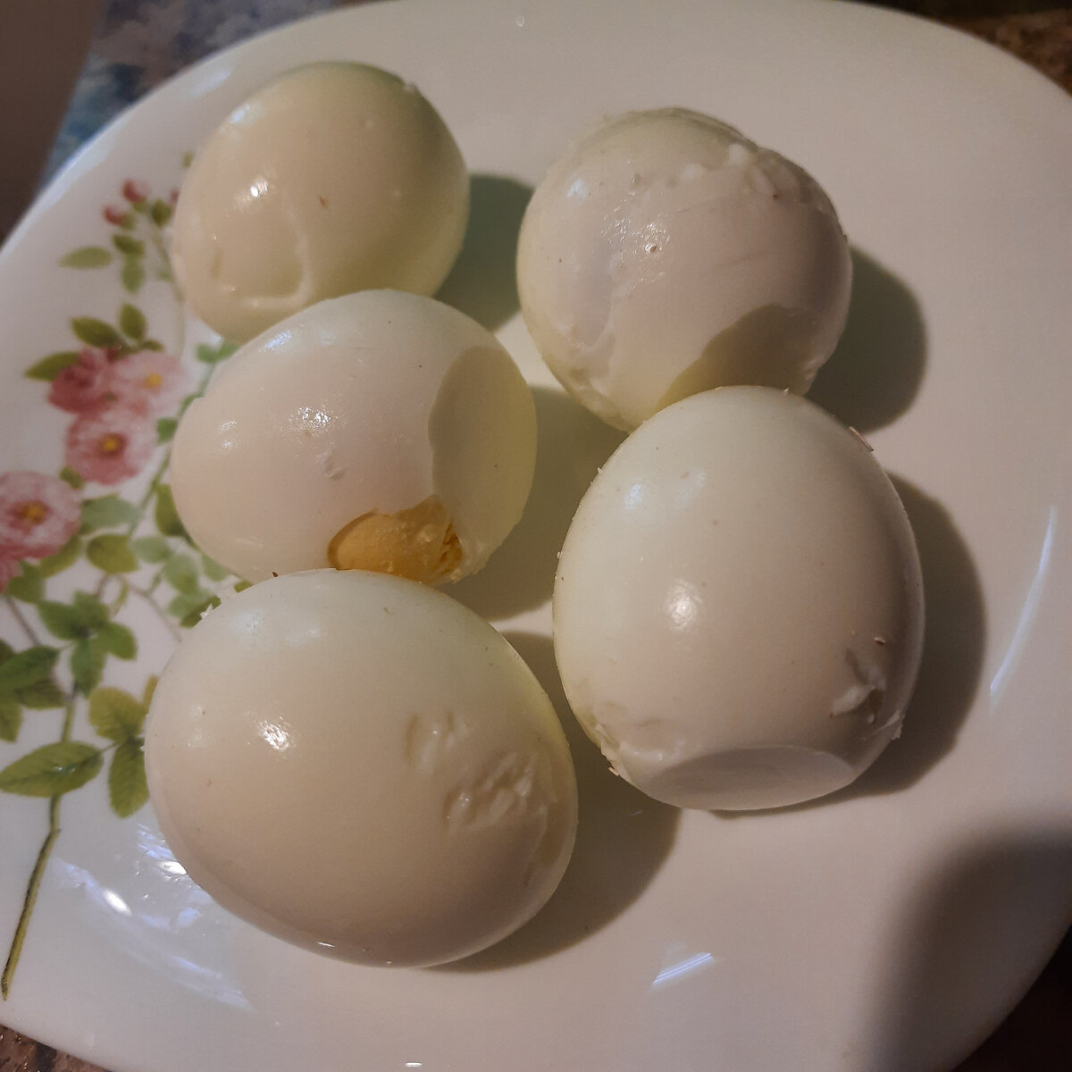 Фото: Соболева Елена Сергеевна 