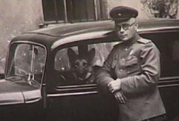 Николай павленко киев