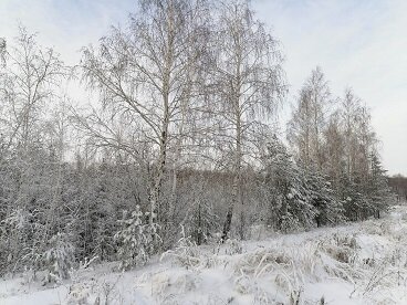 Фотография из личного архива автора