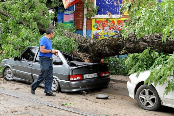 Этим летом поселок Северный и город Белгород столкнулись с ураганом, который снес крыши домов, остановки и повалил порядка 30 деревьев.