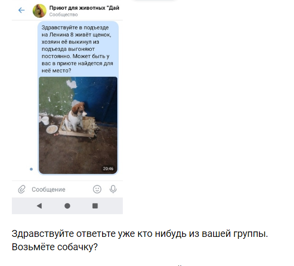 Из сообщений в группу