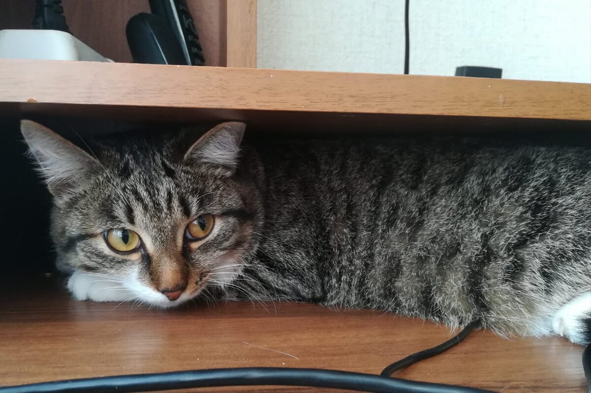 И видно всё прекрасно, и тепло...