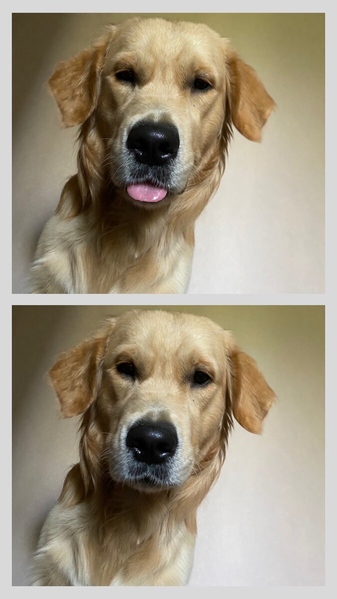 Энцо таращится на спящего Сашу.