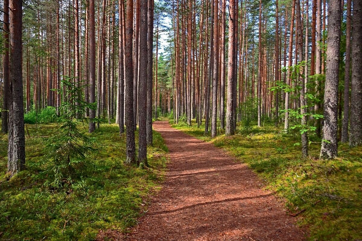 картинка найдена в Яндекс