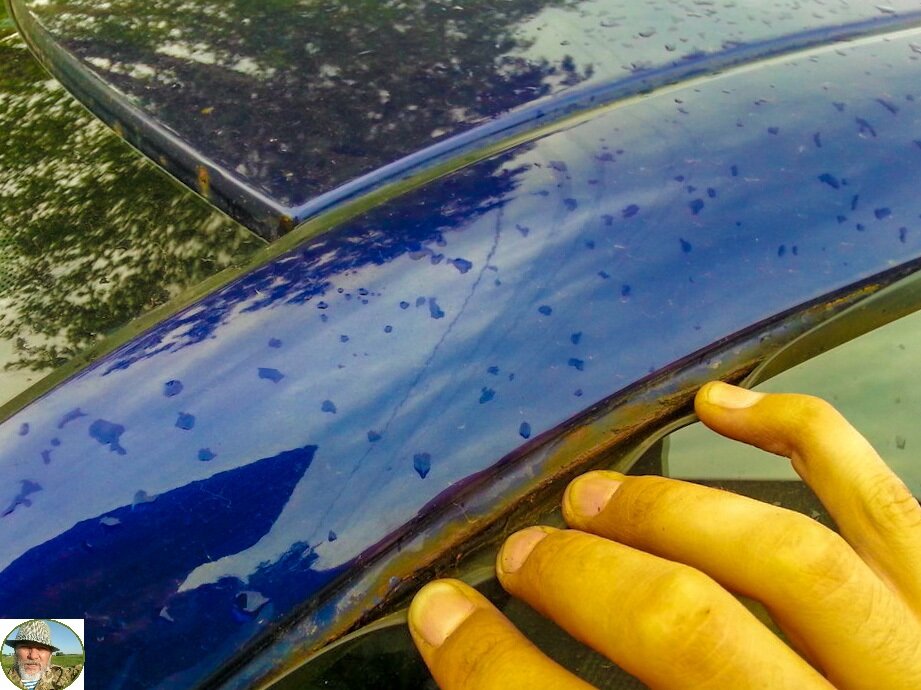 Вот и ржавщина