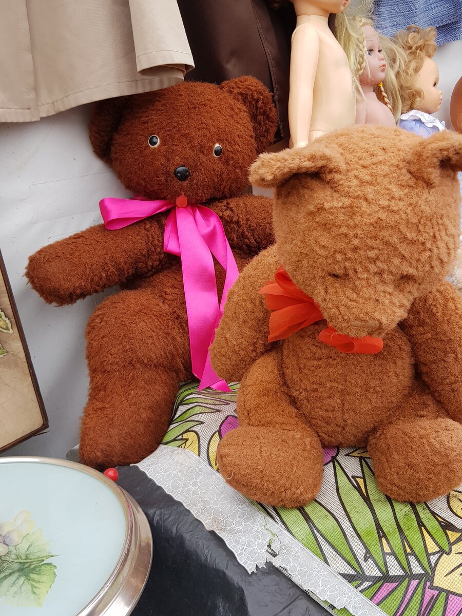 Медведь показывает язык, второй призадумался