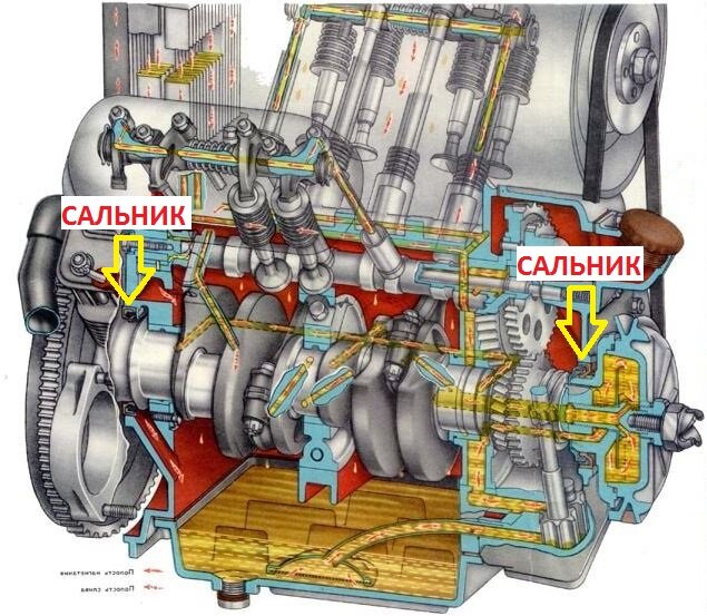ПЕРЕДНИЙ И ЗАДНИЙ САЛЬНИК ДВИГАТЕЛЯ