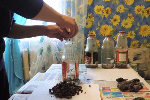 Фото с нашего сайта MalePotency.ru