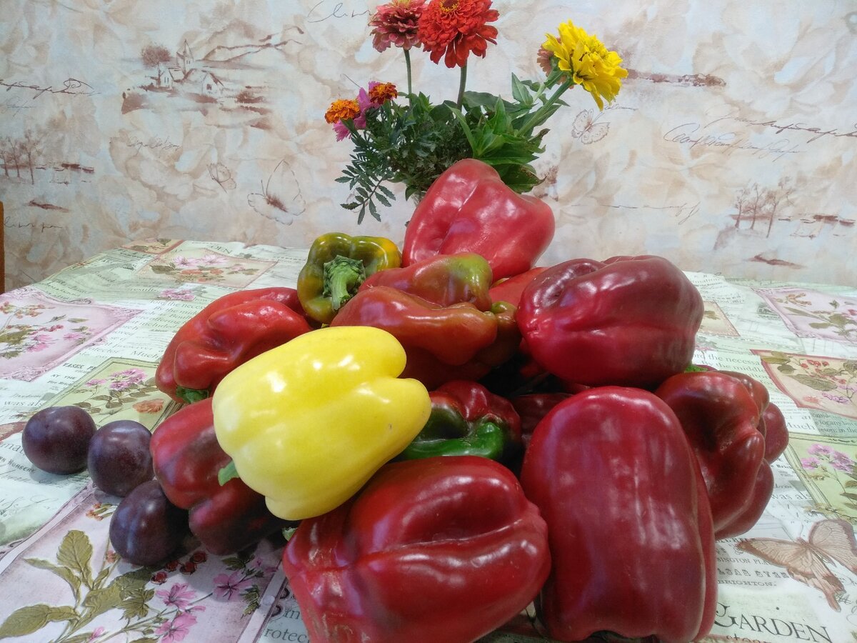 Наш урожай 2020.