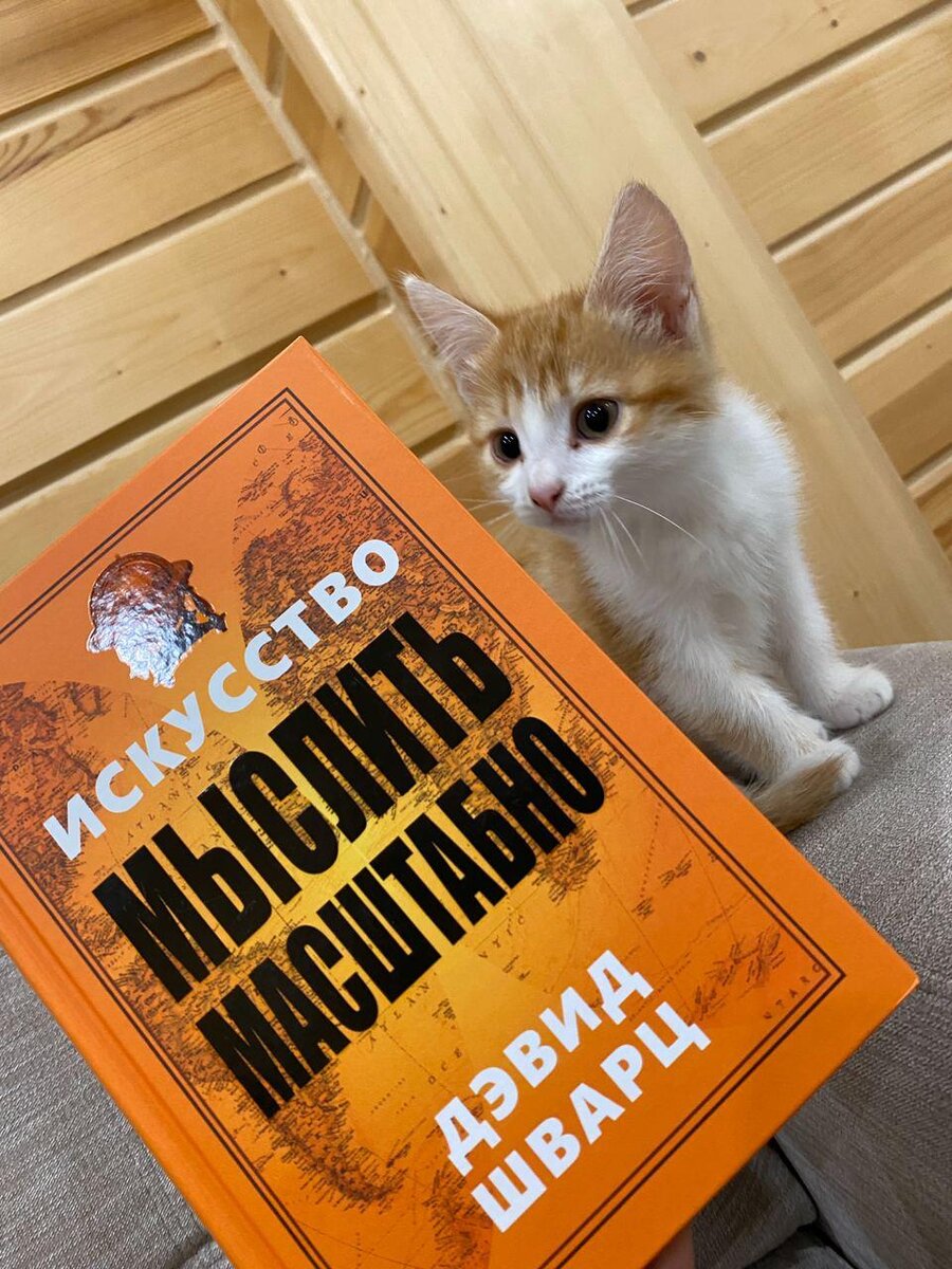 Лея смотрит на Шварца с недоверием.