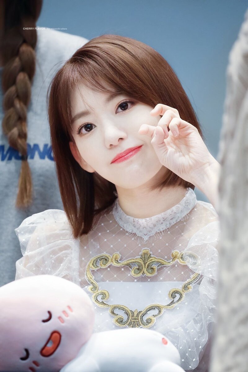 Яндекс. Картинки (Сакура) 