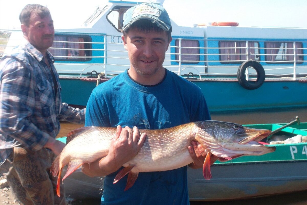 Это щука 11кг 700гр,тащил я её почти 20 минут руки в мазали стёр!!?