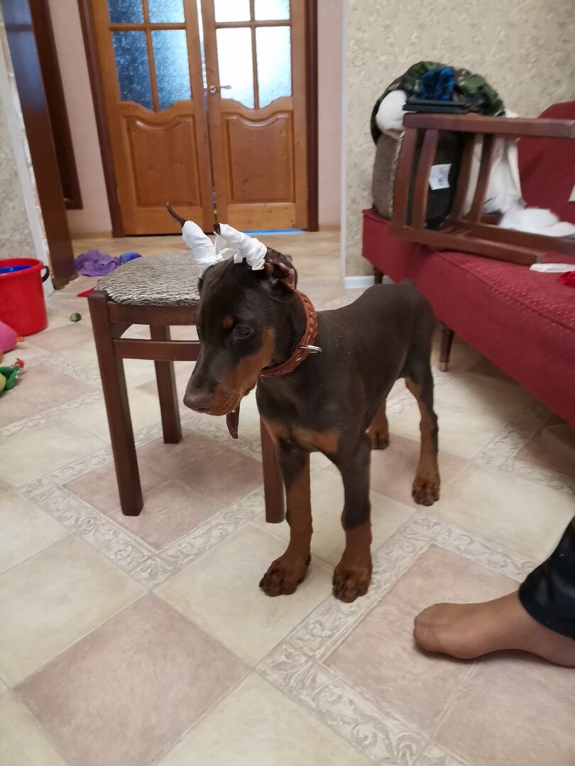 Фото из личного архива