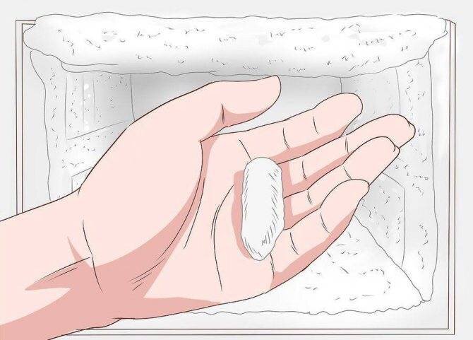 изображение из открытых источников