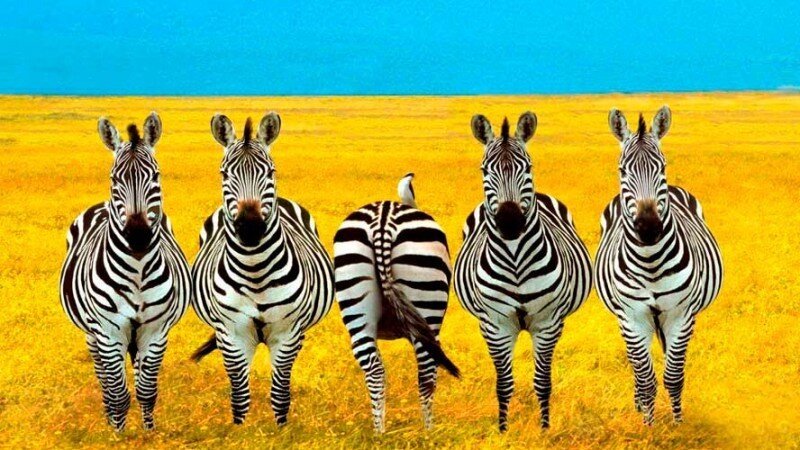 Жаль, что жизнь раньше повернулась ко мне этим местом, чем я к ней.