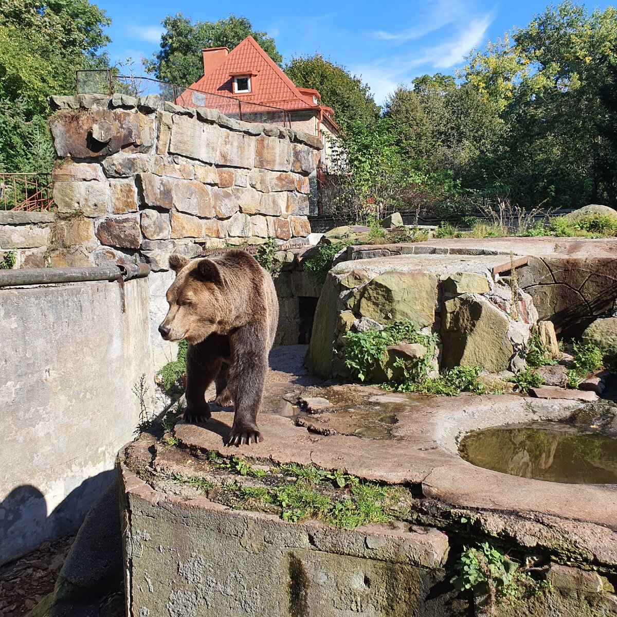 калининградский зоопарк