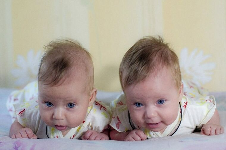 Мои малышки