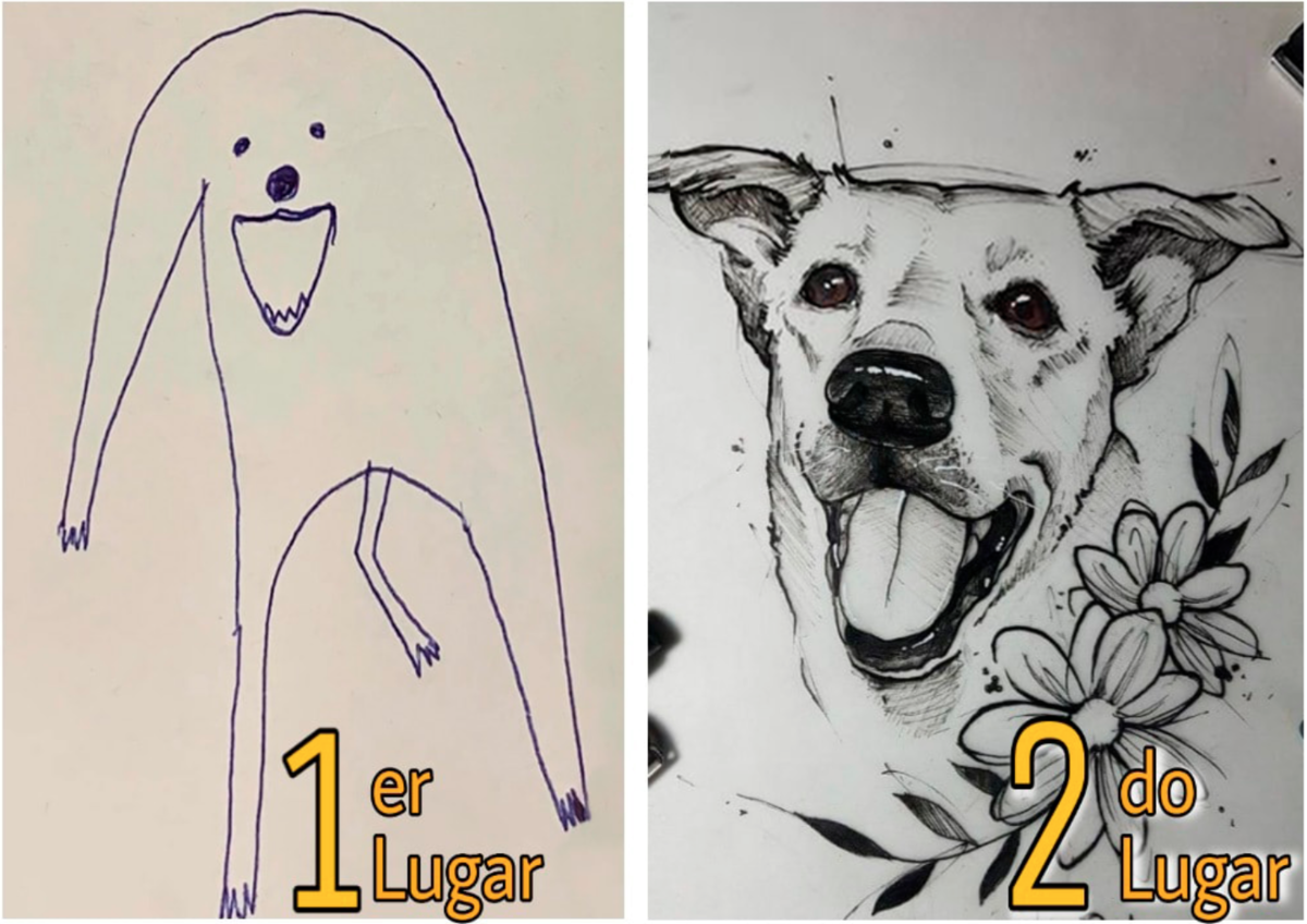 Как нарисовать собаку из слова dog