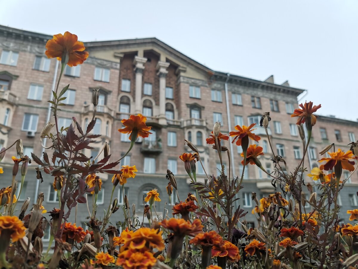 Дом по адресу Станиславского 4 признан памятником архитектуры регионального значения 