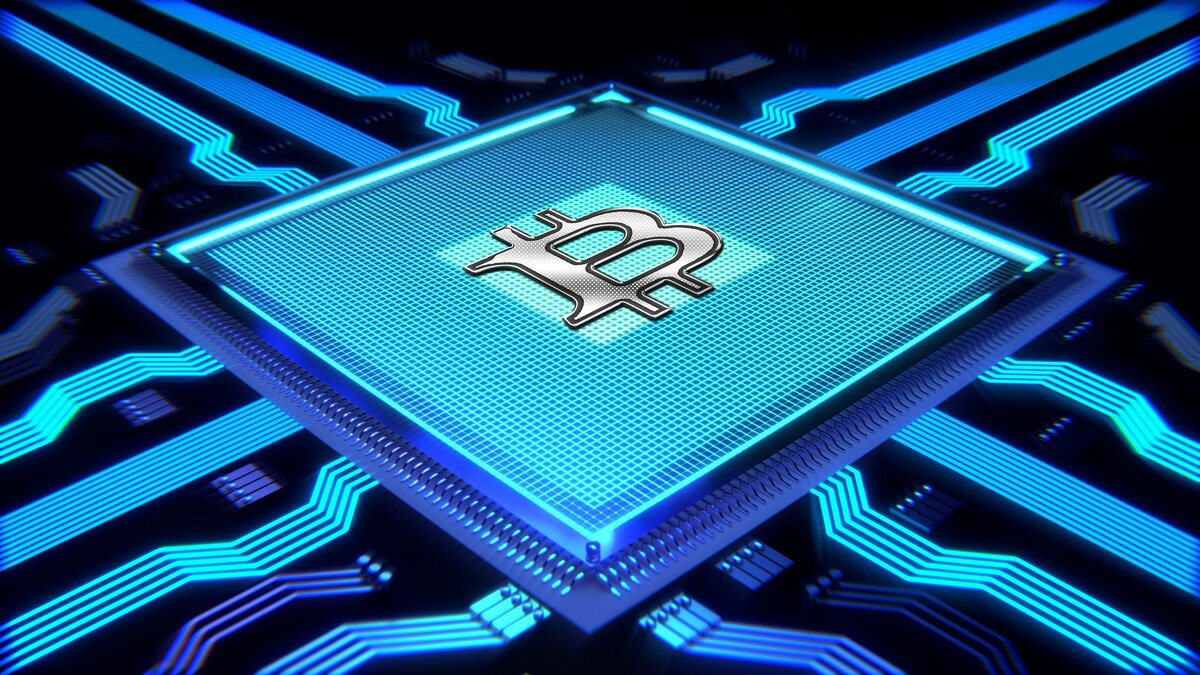 Задай вопрос.....BTC - 3NVHYnt2r4wgZ6cc9Bk6GdsofZup5La9bT