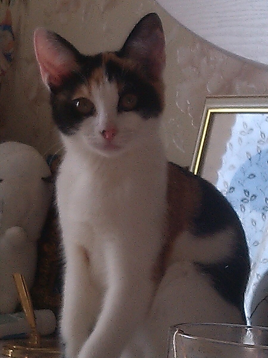 фото из семейного архива