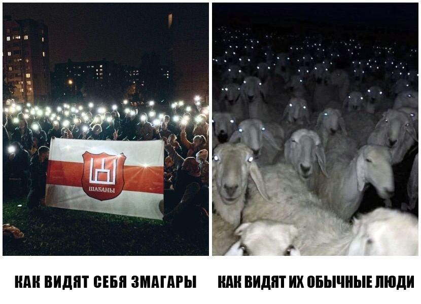 Мемы про белорусскую оппозицию. Мемы про протесты в Беларуси. Мемы про Беларусь. Мемы про Белоруссию. Змагары кто это