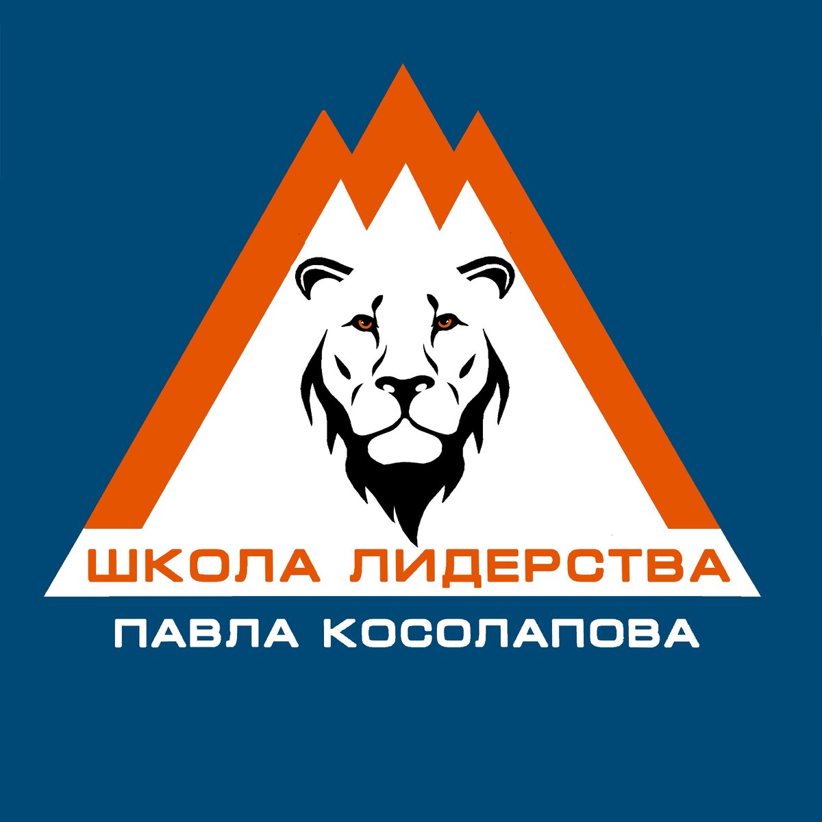 Школа Лидерства 