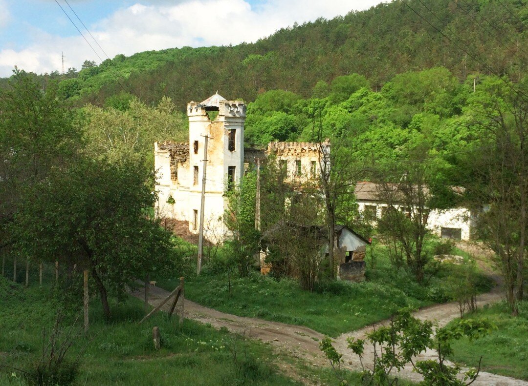 Усадьба графини Монжене в Крыму | РусКонтур | Дзен