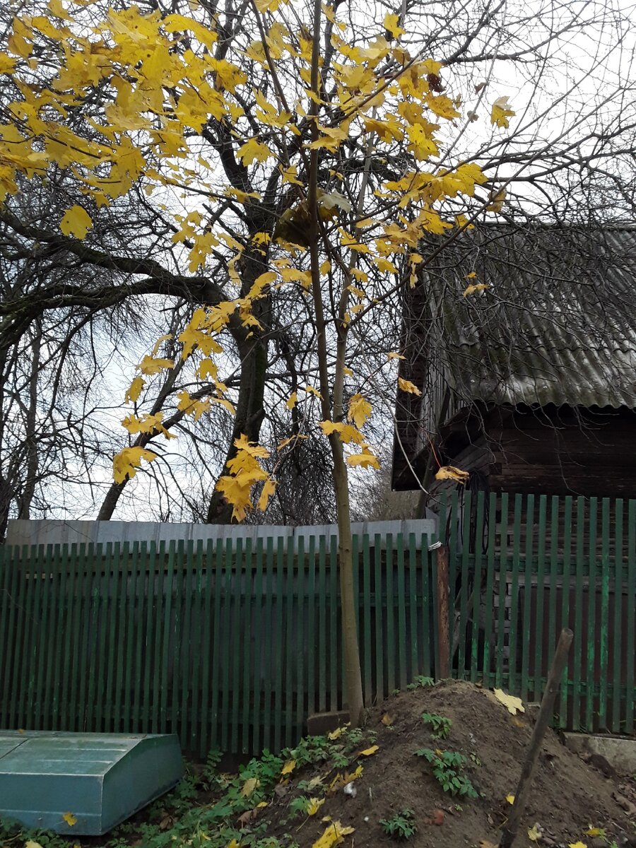Осень....учебный год в самом разгаре. 