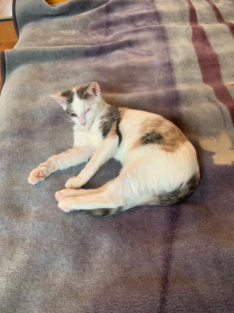 Расслабляться рано, глазки требуют продолжения лечения