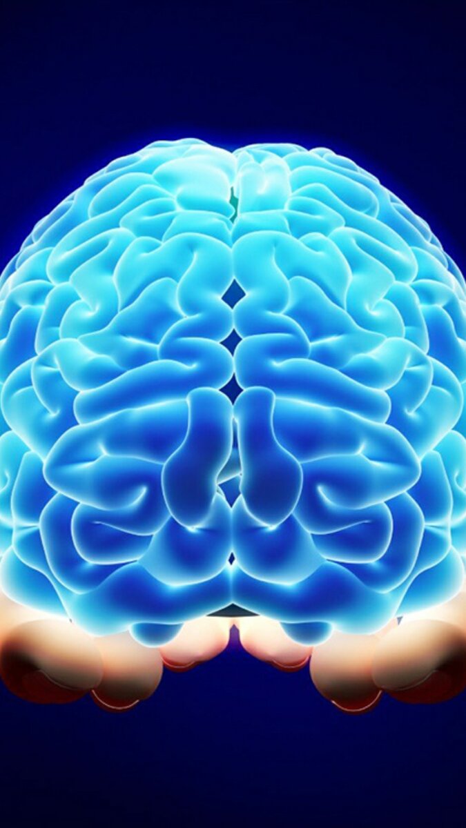 Картинка из инета.