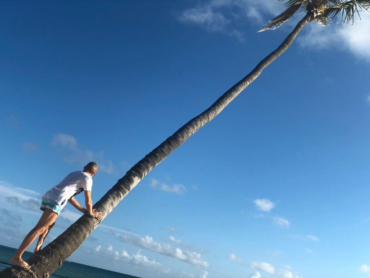 Это была жизнь бабуина.