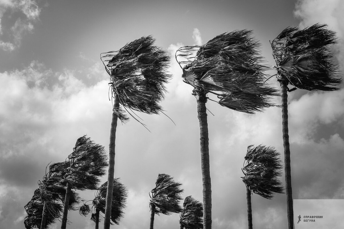 Бег в ветреную погоду  - то еще испытание.